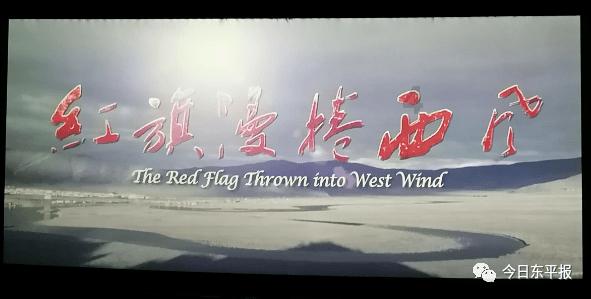 杨花:我的愿望不仅仅是破PB